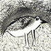 Seitaro Kuroda Gallery